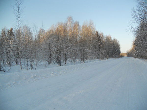 Андрей Хрущёв