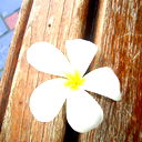 Лана *