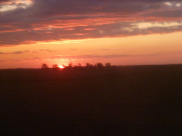 Наталья Петрашенко