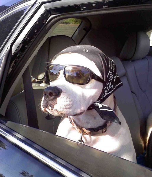 Татьяна Шилина