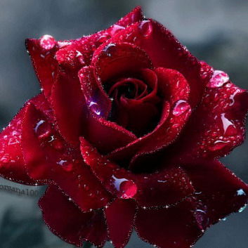 Таня Павлова