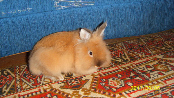 Татьяна Насриева