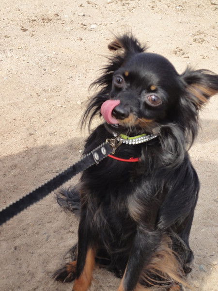 Ольга Ускова