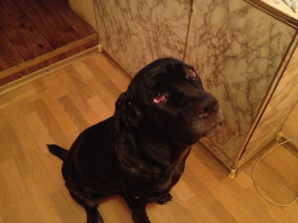 Сергей Соболев