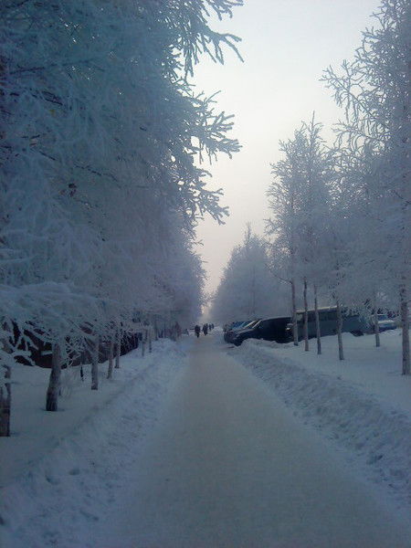 Вячеслав Харитонов