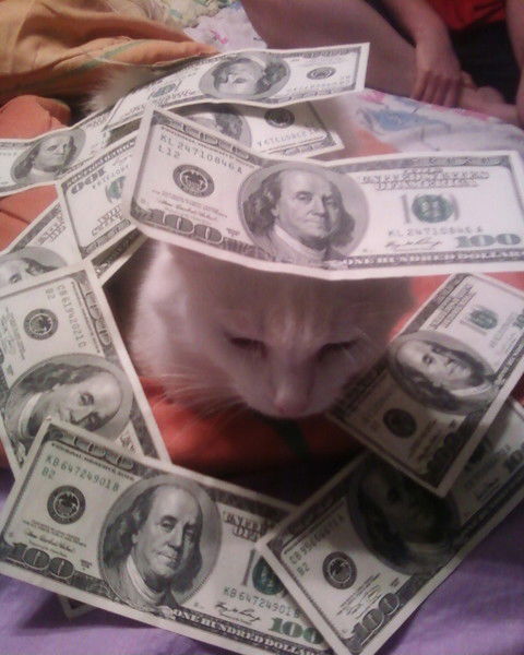 Серж Приставка