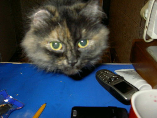 Сергей Юрьевич