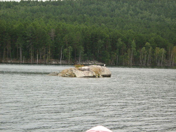 Якупова Джамиля