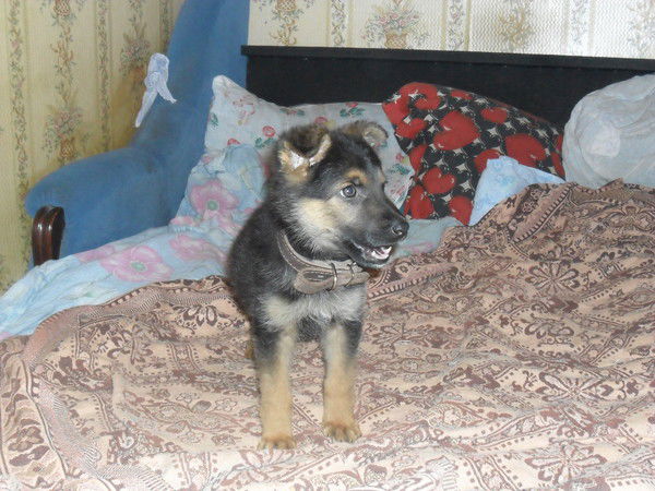 Роман Казаков