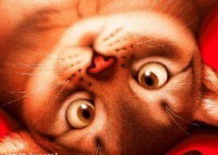 Алия Вахитова