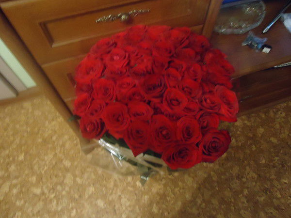 Наталья Максимович