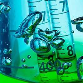 Екатерина Казак