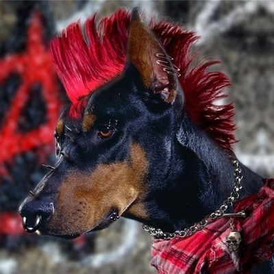 Александр Кирсанов