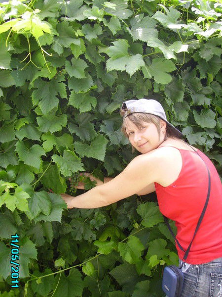 Наталья Шопарева