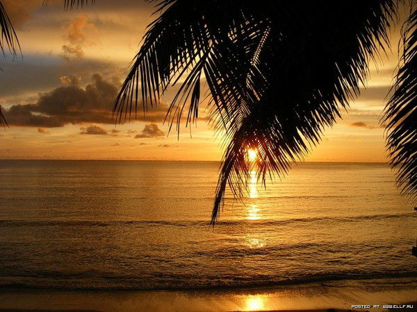 Максим Будылин