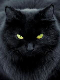 Татьяна Аксагова