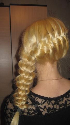 Ксения Швед