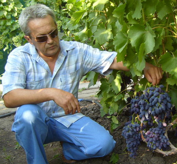 Пётр Пилипцев