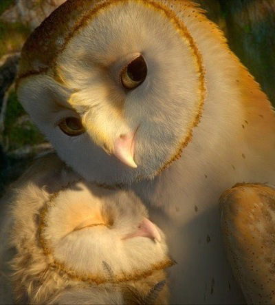 Ирина Куттегина