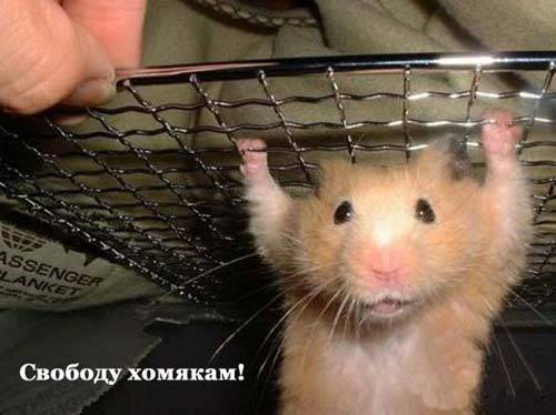 Ильфат Миназетдинов