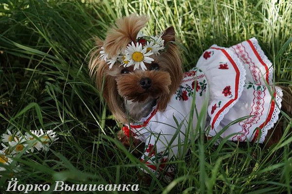 Люда Иванникова