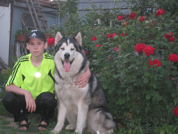 Александр Бурыменко-Косенко