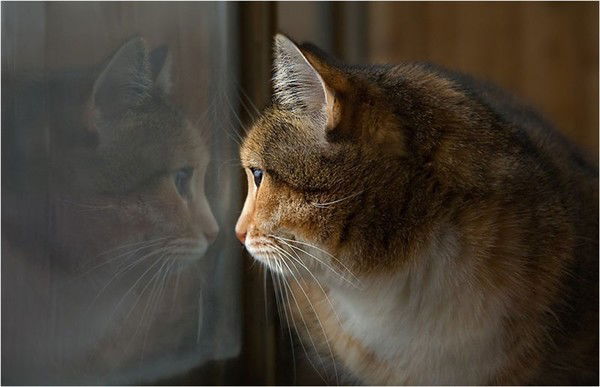 Татьяна Большова