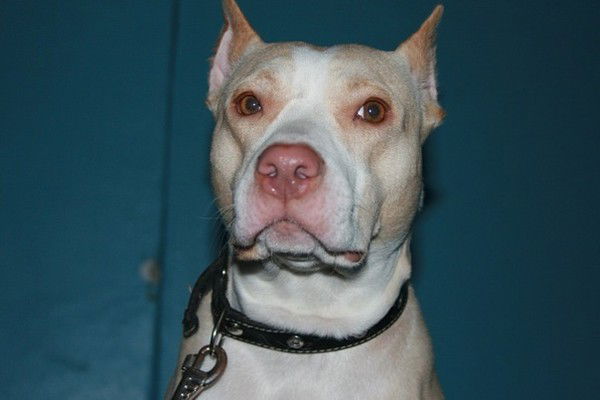 Валера Кербер