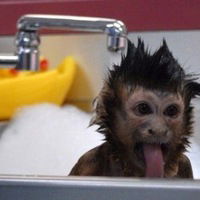 Дмитрий Парфенов