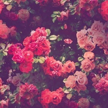 Татьяна Архангельская