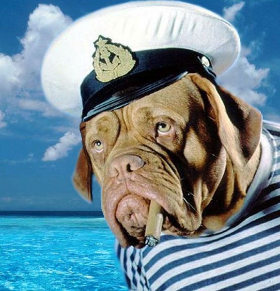 Андрей Коротаев