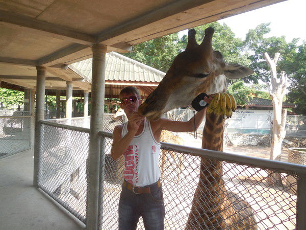 Моисеенко Олег