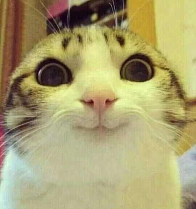 Віка Тивонюк