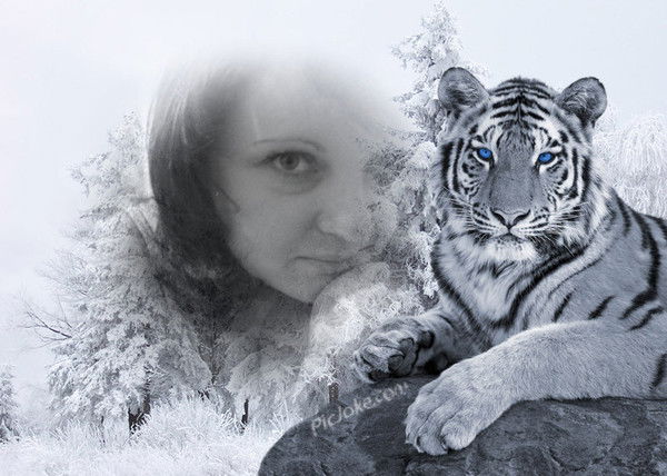 Алена Короткая