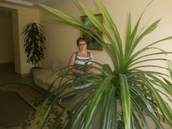 Лэйсэн Янгыры