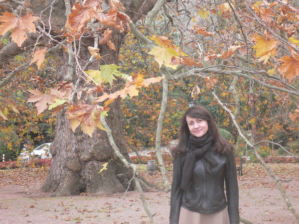 Лариса Василенко