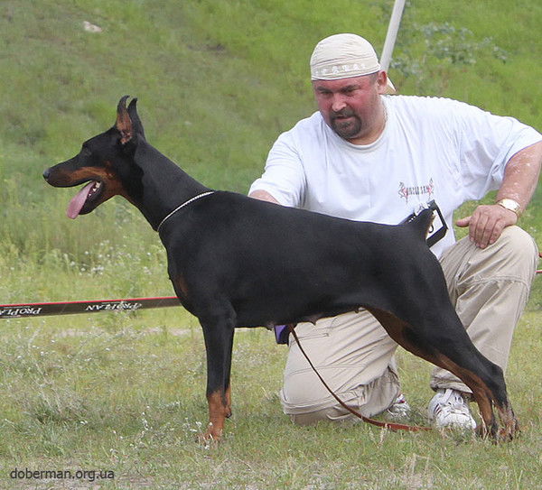 Евгений Гуцан