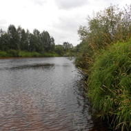 Alex Мinichev - R1Cn