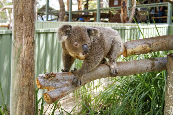 Юлия Волокитина