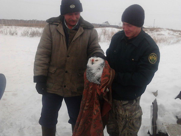 Олег Максимов