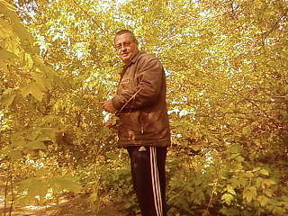 Александр Герасимов