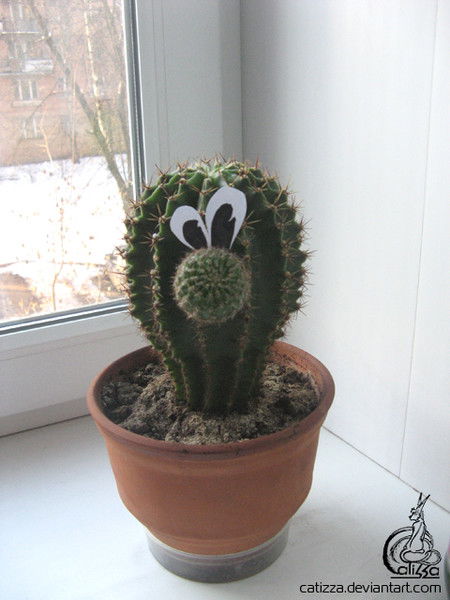 Петр Иванов