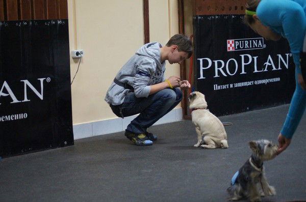 Ирина Саяпина