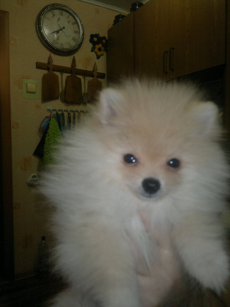 Владислав Т