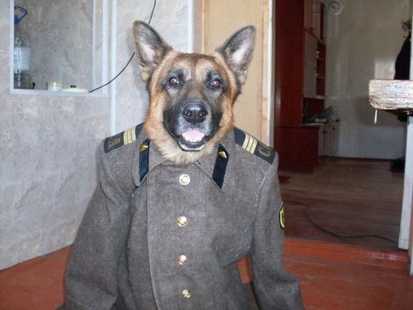 Абду-Кадыр Джелялов