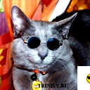 Виталий Котов