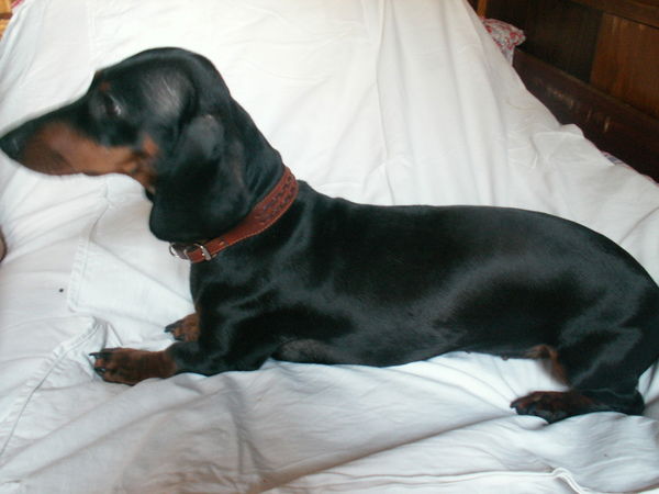 Кира Заруцкая