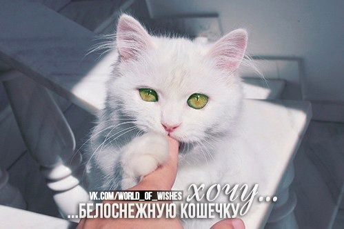 Сергей Яргунин