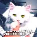 Сергей Яргунин
