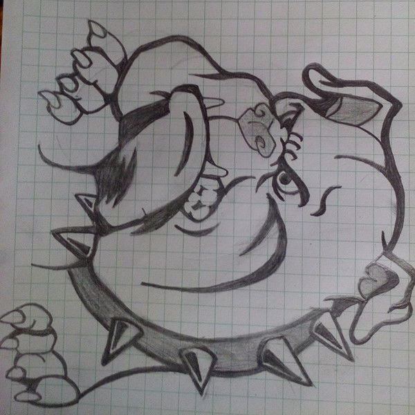 Velis -----------------